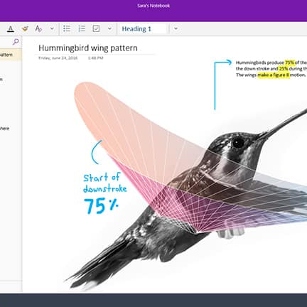 What’s the Difference Between OneNote and OneNote 2016?
